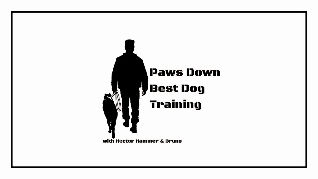 paws-down-best-dog-training-logo