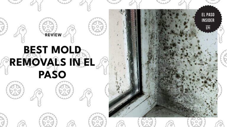 best-mold-removal-el-paso