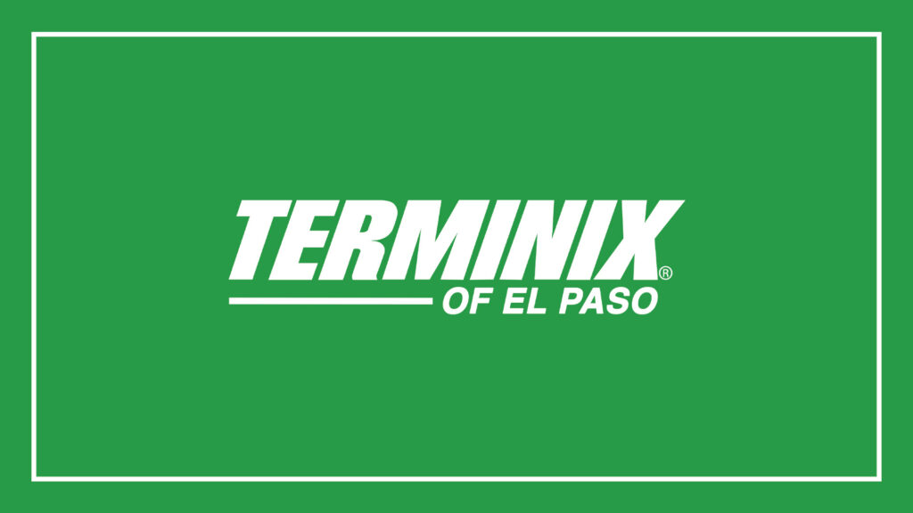 terminix-of-el-paso