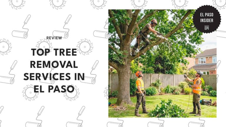 best-tree-removal-el-paso