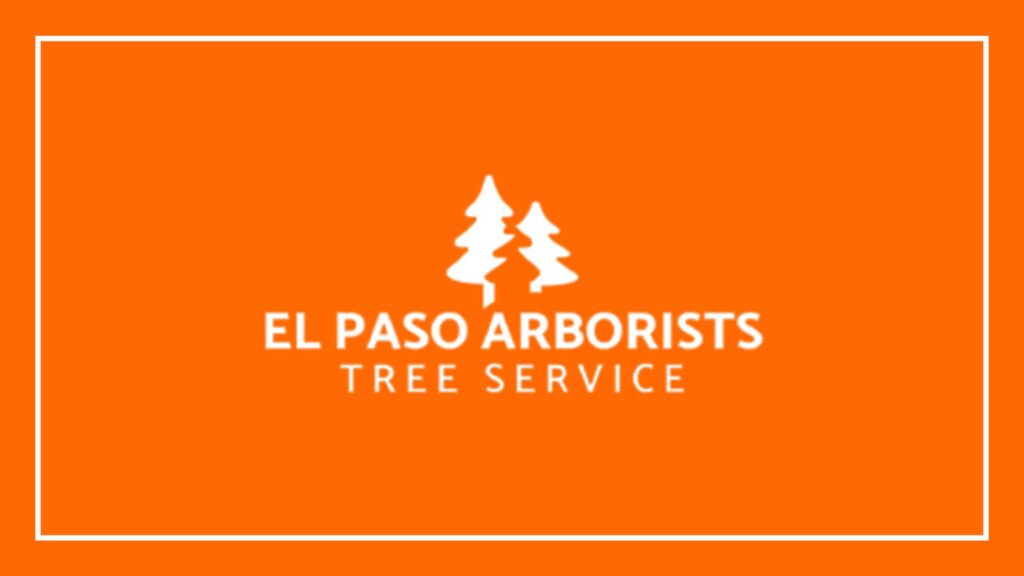 el-paso-arborists