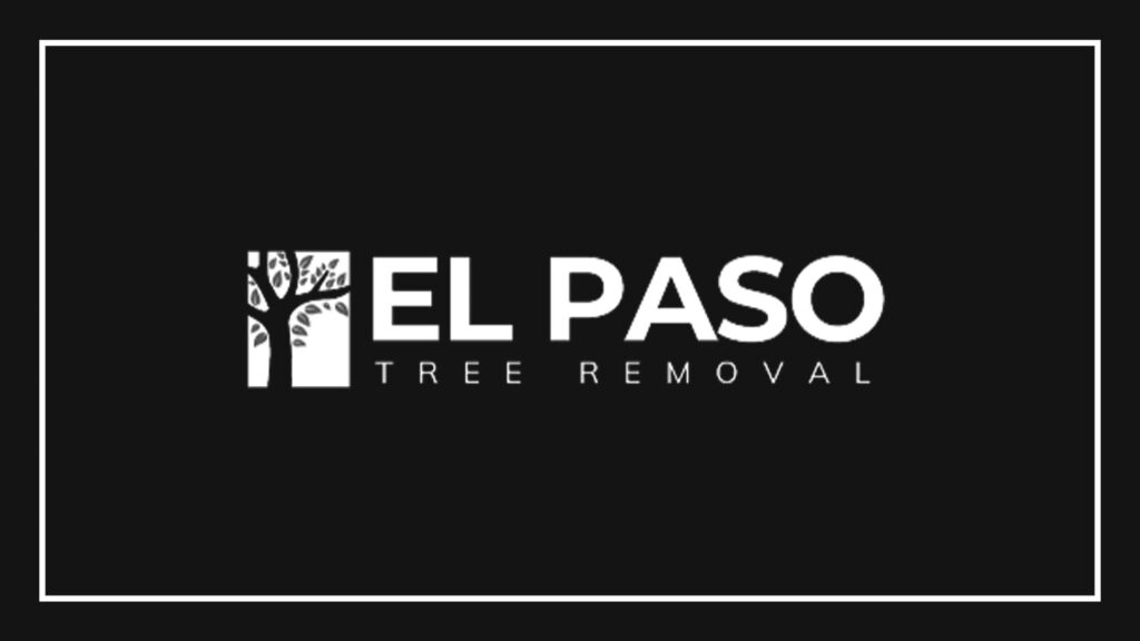 el-paso-tree-removal