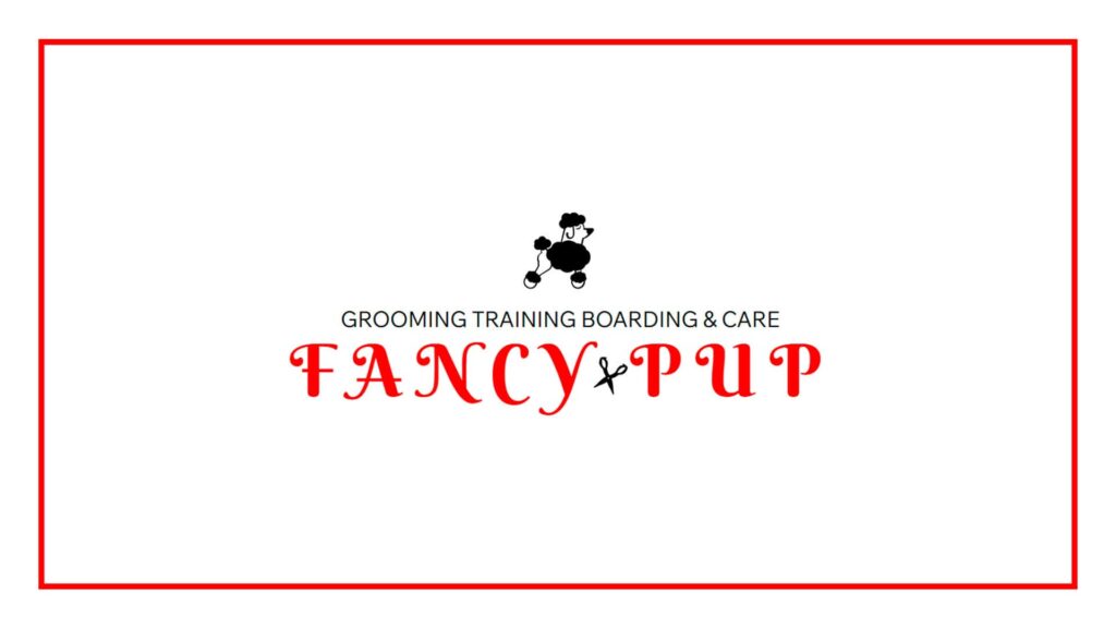 fancy-pup-pellicano