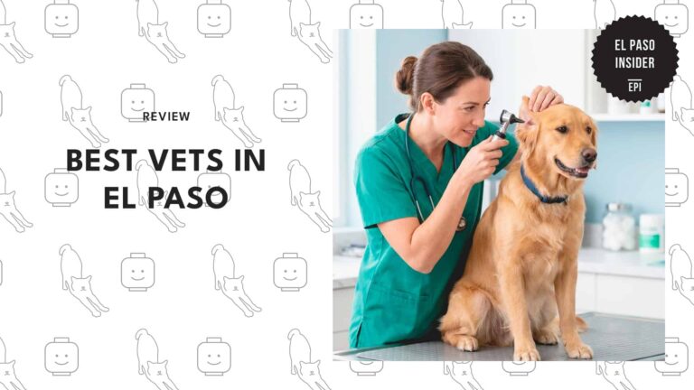 best-vets-el-paso