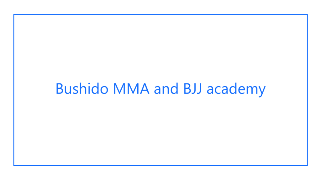 bushido-mma-and-bjj-academy