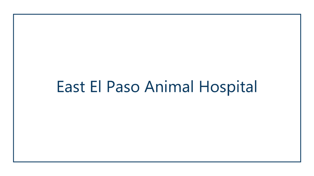 east-el-paso-animal-hospital