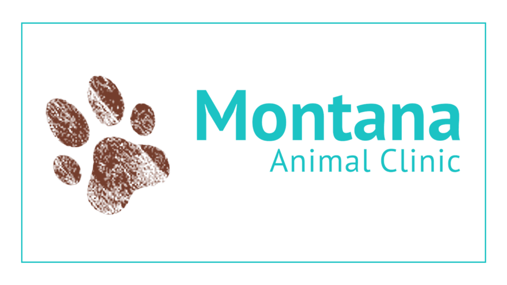 montana-animal-clinic