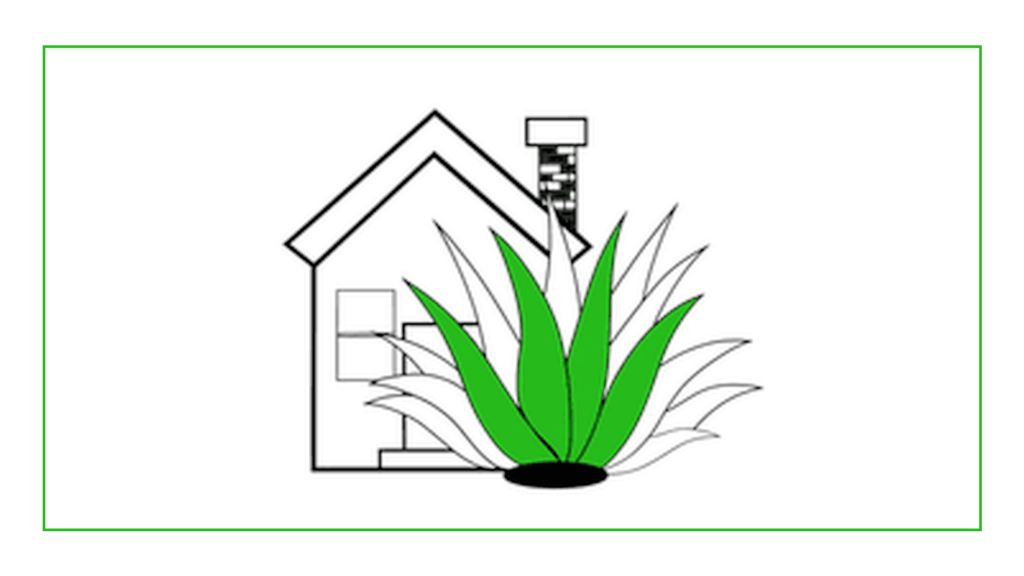 agave-property-inspections-pllc