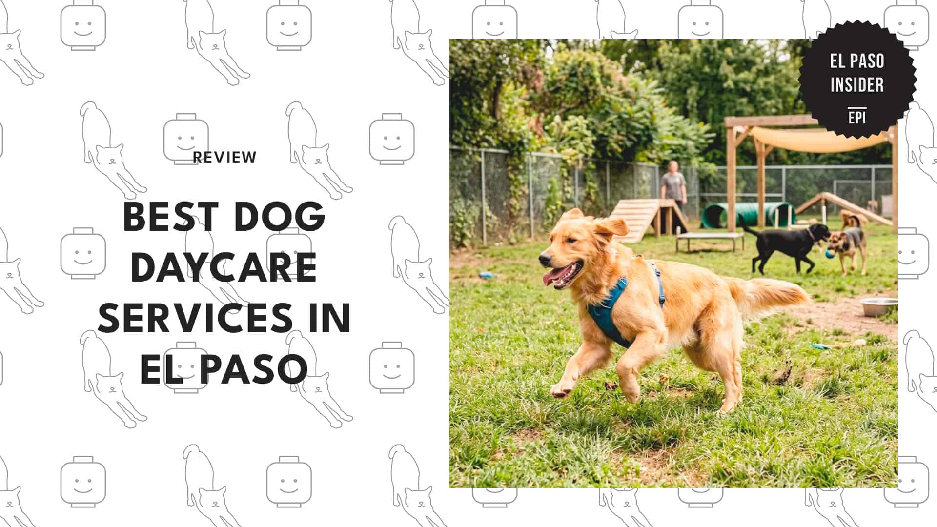 best-dog-daycare-el-paso-banner