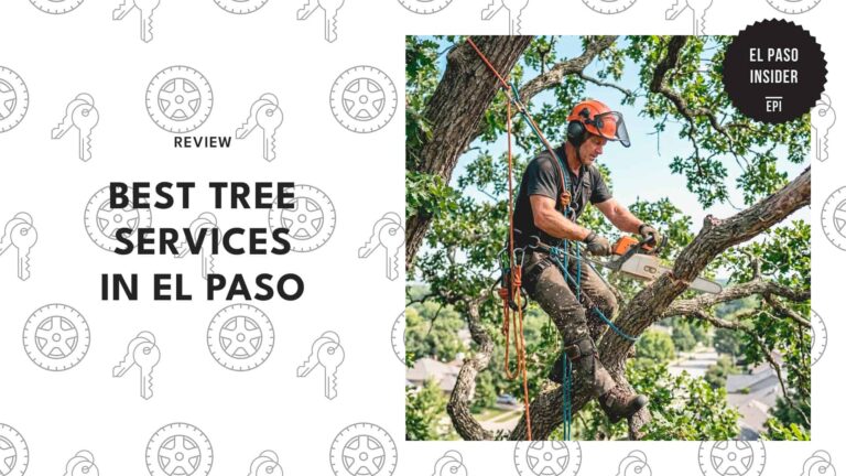 best-tree-services-el-paso-banner