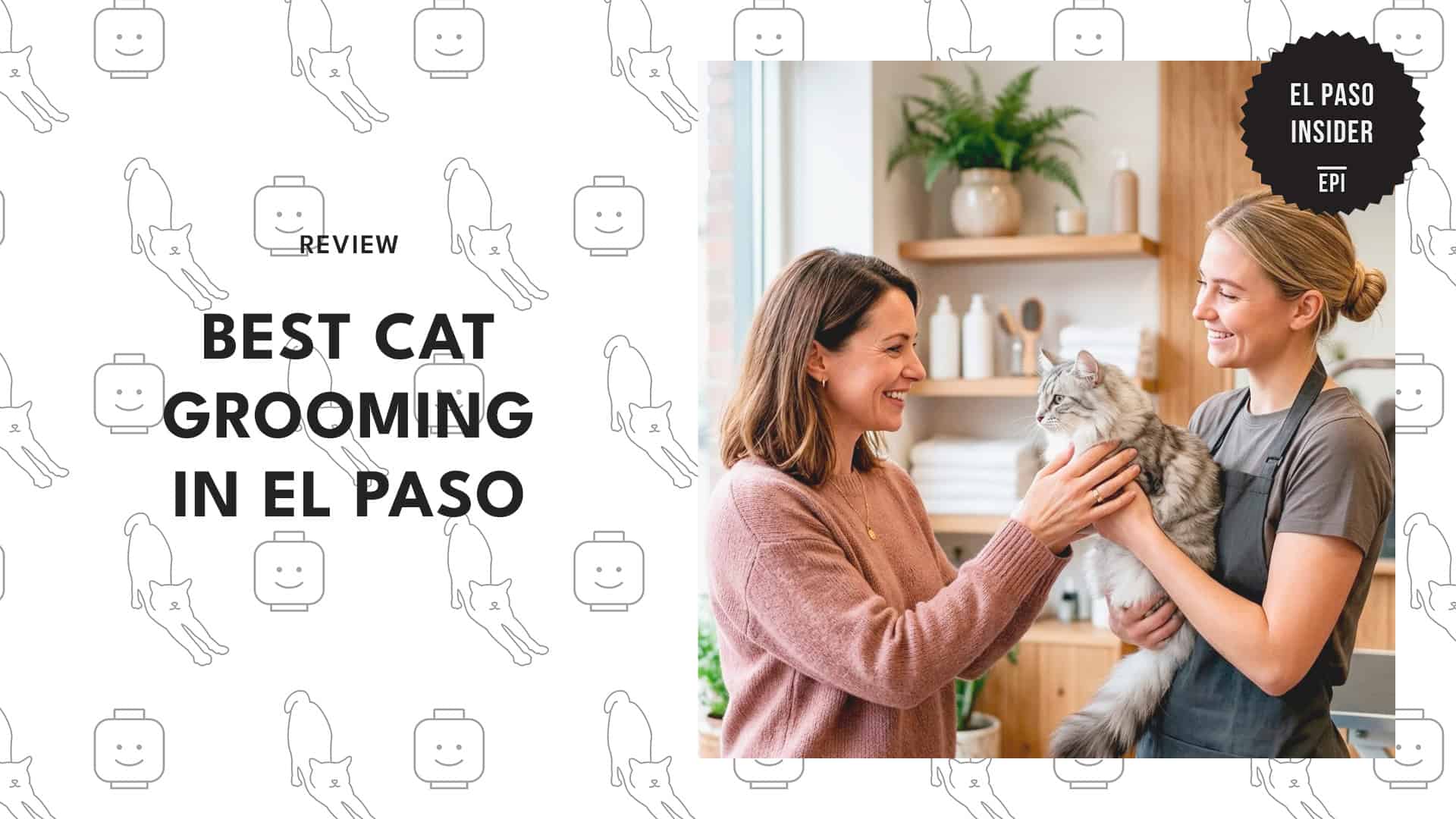 cat-grooming-experts-in-el-paso
