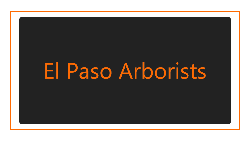 el-paso-arborists