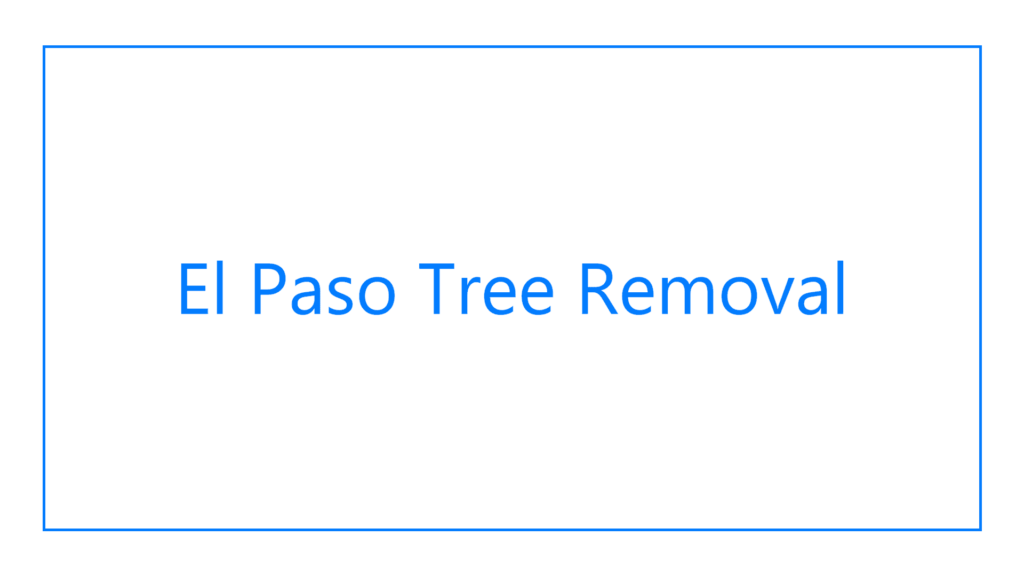 el-paso-tree-removal