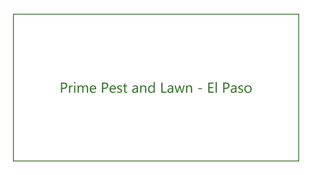 prime-pest-and-lawn-el-paso