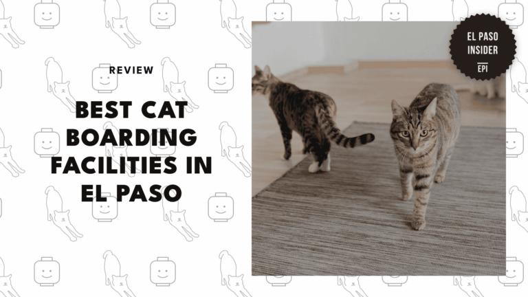 best-cat-boarding-el-paso