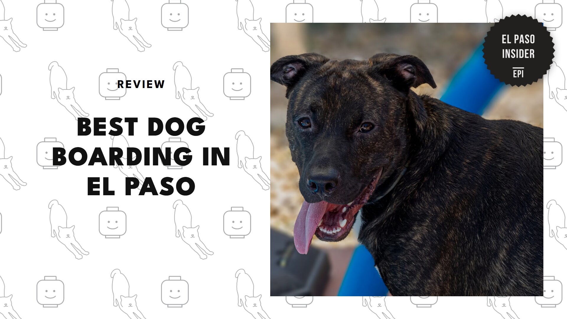 best-dog-boarding-el-paso-banner