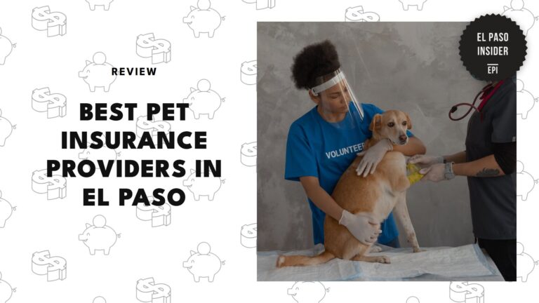 best-pet-insurance-el-paso-banner