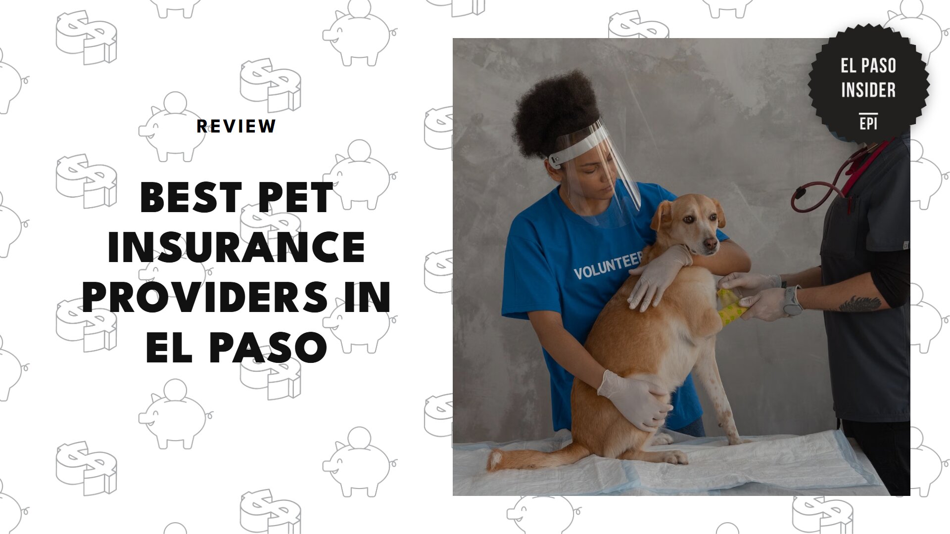 best-pet-insurance-el-paso-banner
