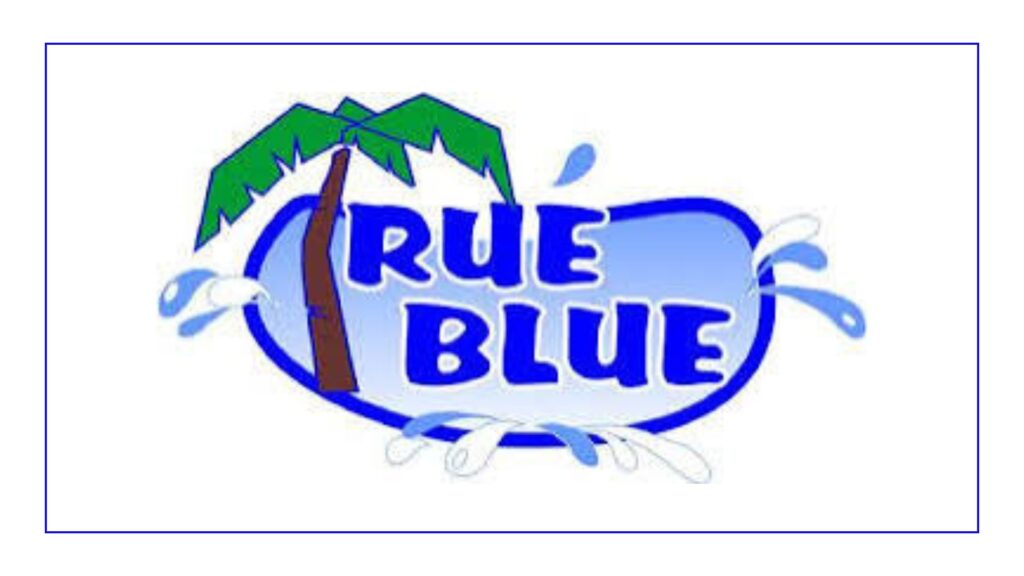 true-blue-pool-service-logo