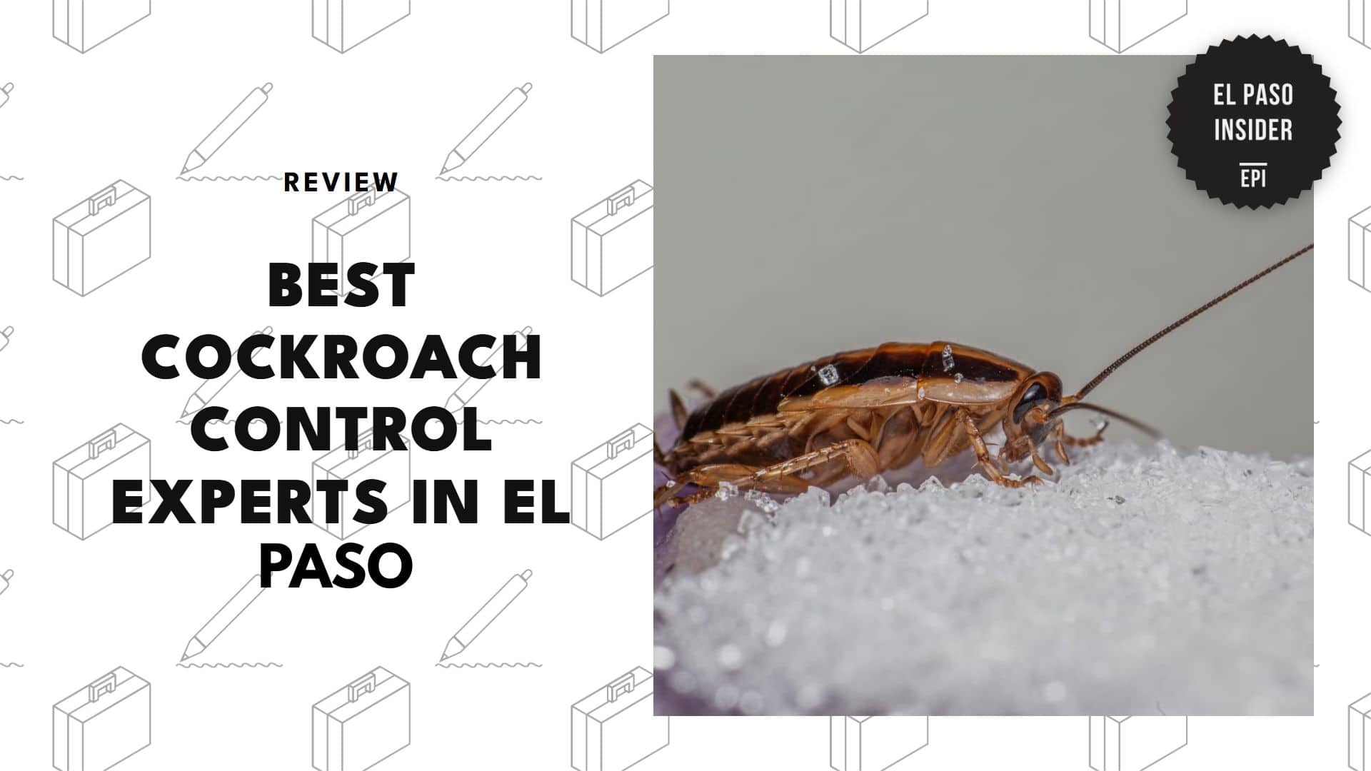 best-cockroach-control-el-paso