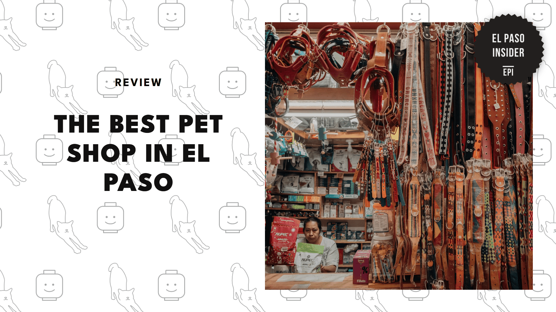 best-pet-shops-el-paso